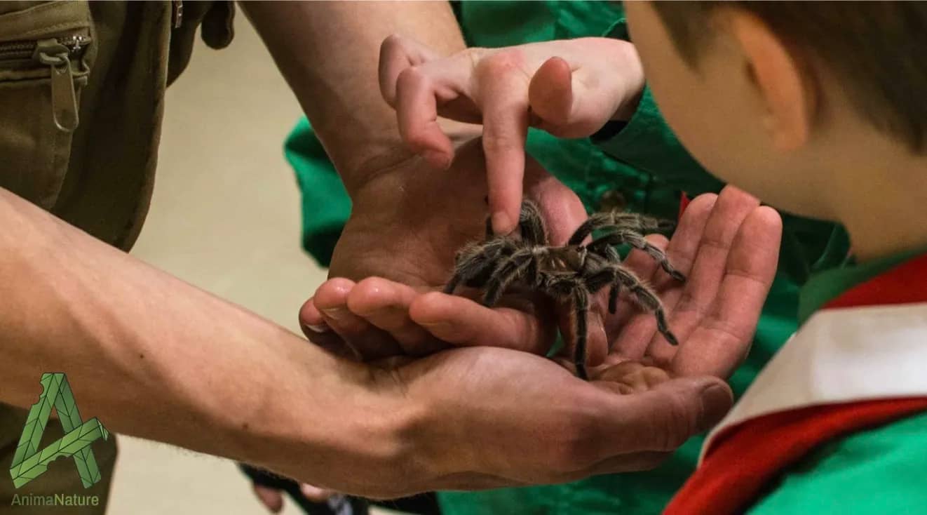 Insectes à découvrir... et à dévorer!