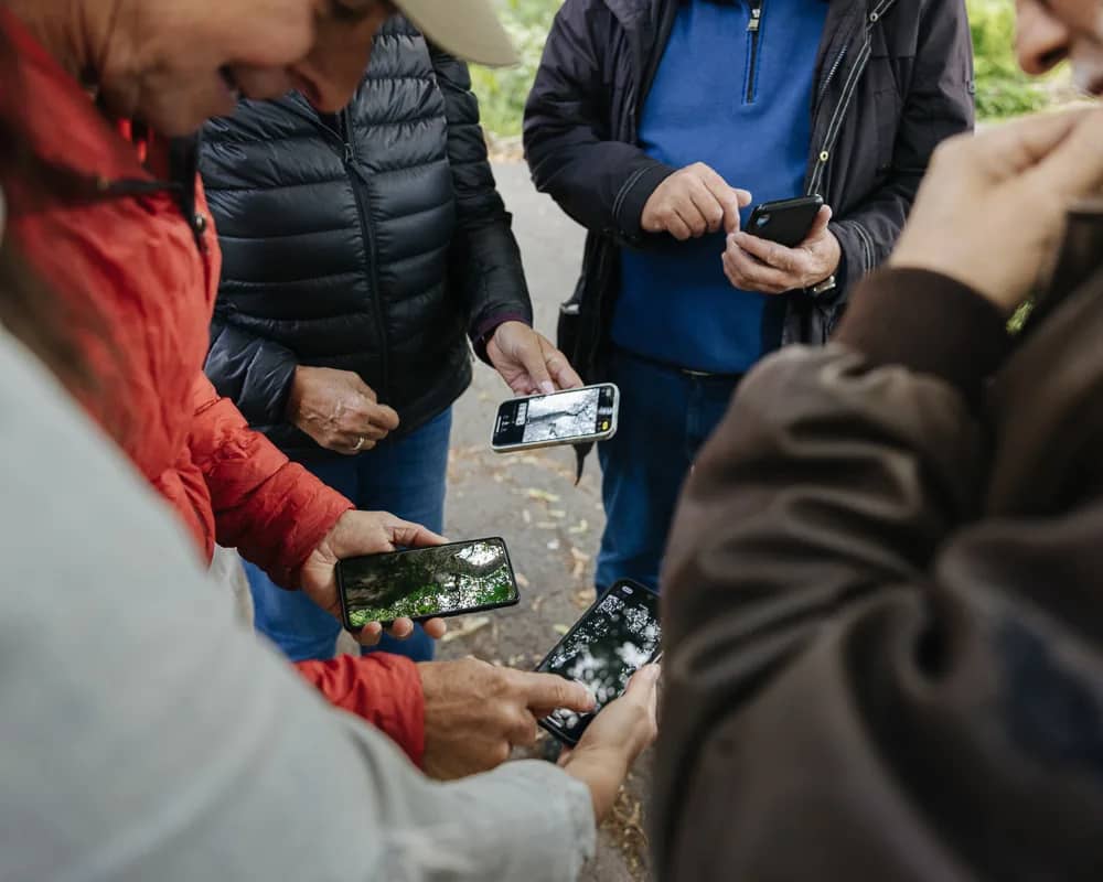 Atelier « Escapade photo avec votre cellulaire »