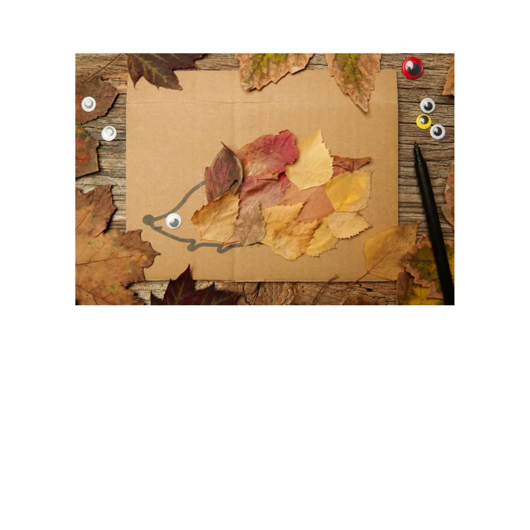 Hérisson d'automne