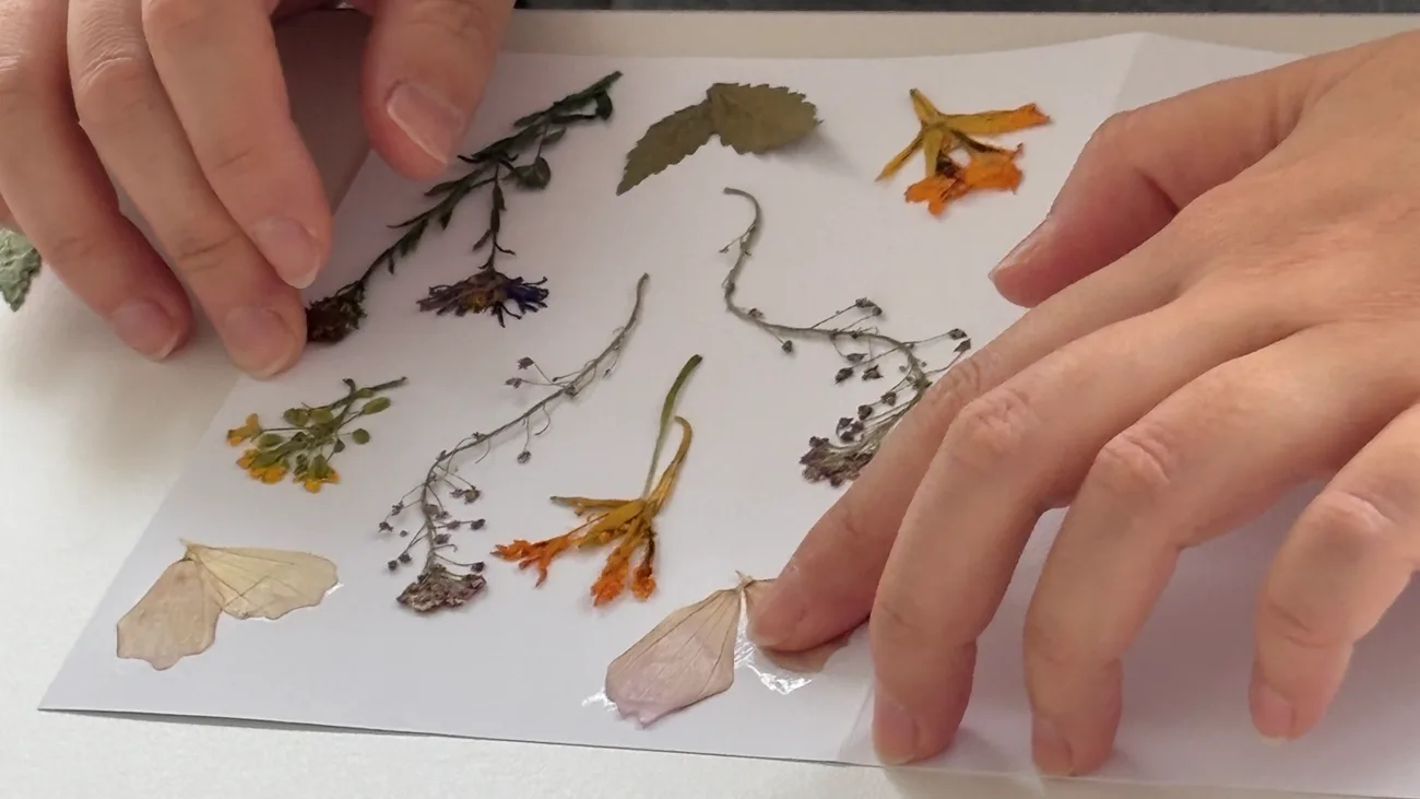 Créer avec la nature