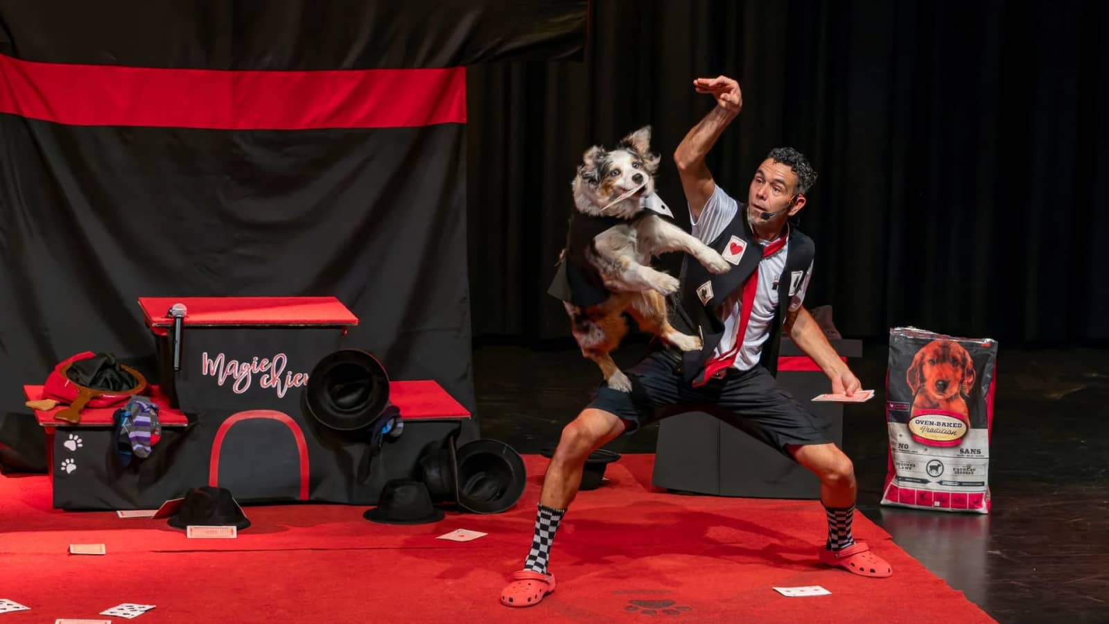 Yan le magicien et son chien - Spécial Halloween