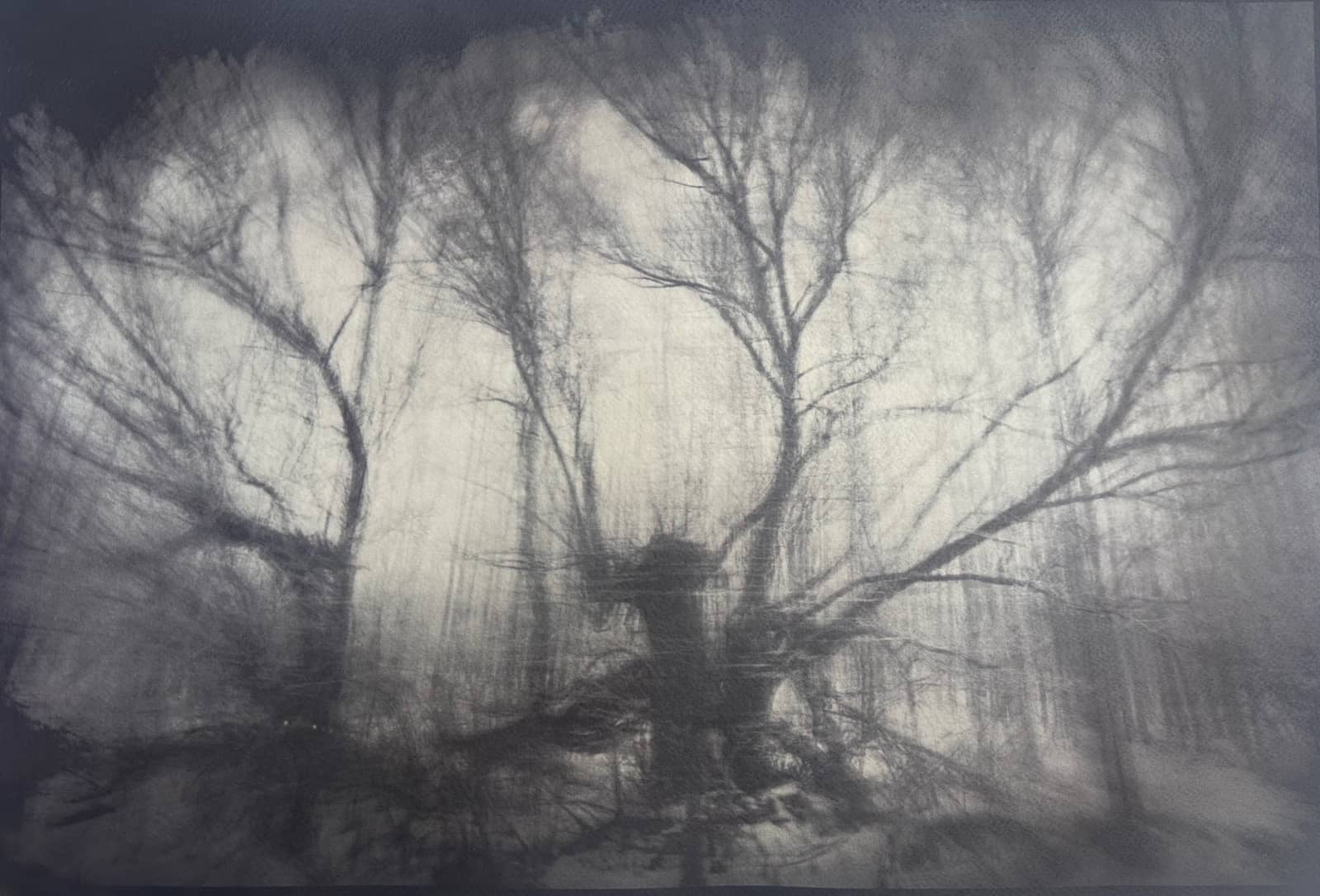 Photography Exhibition-nicholas x bent