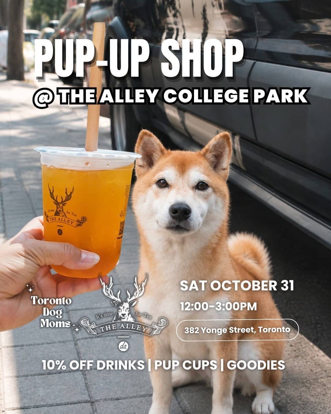 Halloween Pup Up Shop @ The Alley