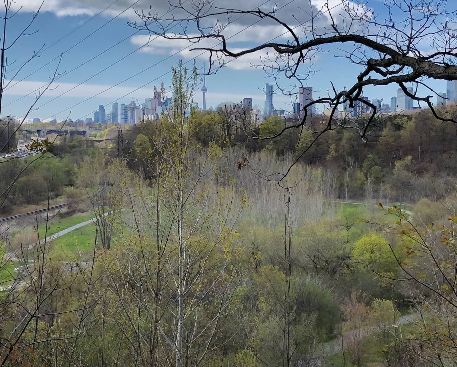 Toronto's Ravines: Nature and History at Your Doorstep