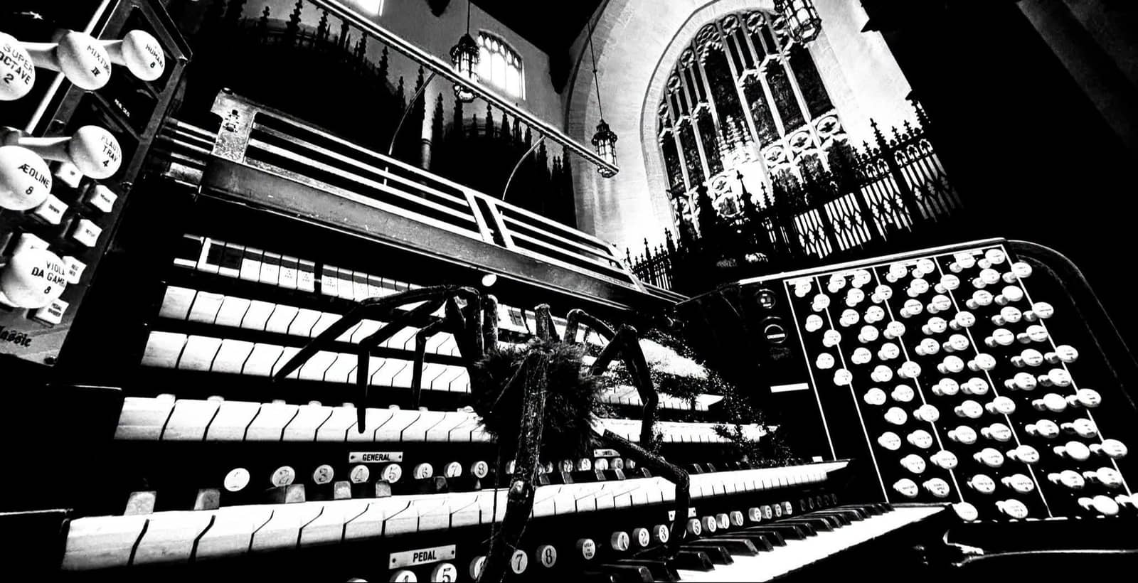 Phantoms of the Organ