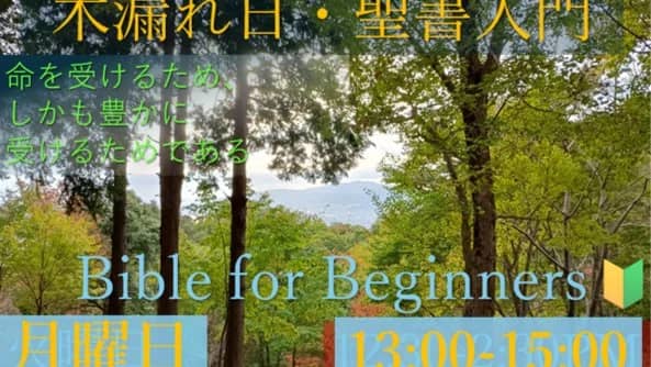 木漏れ日 Bible for Beginners ☀️🌱