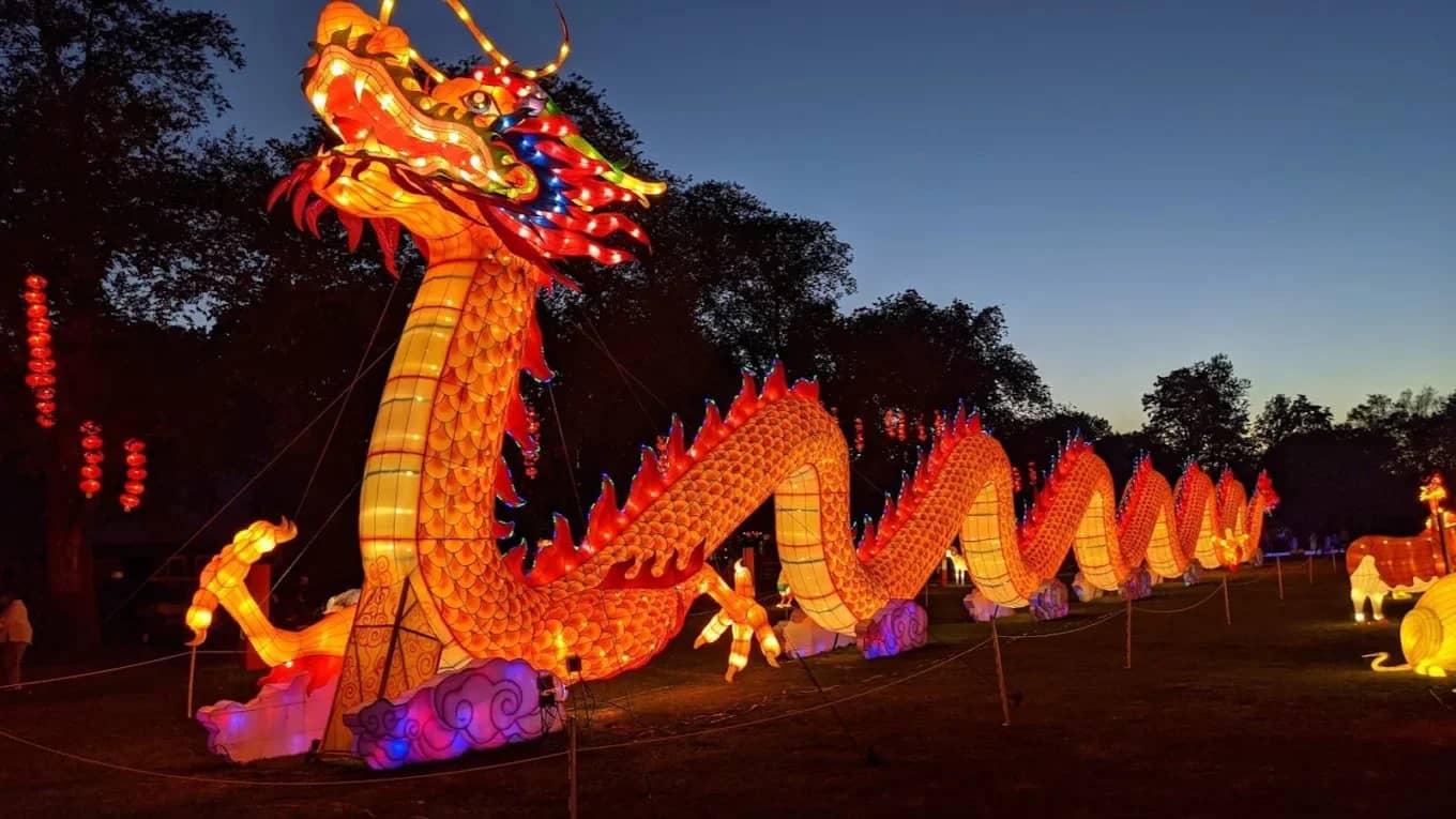 Lantern Festival at Franklin Park Zoo