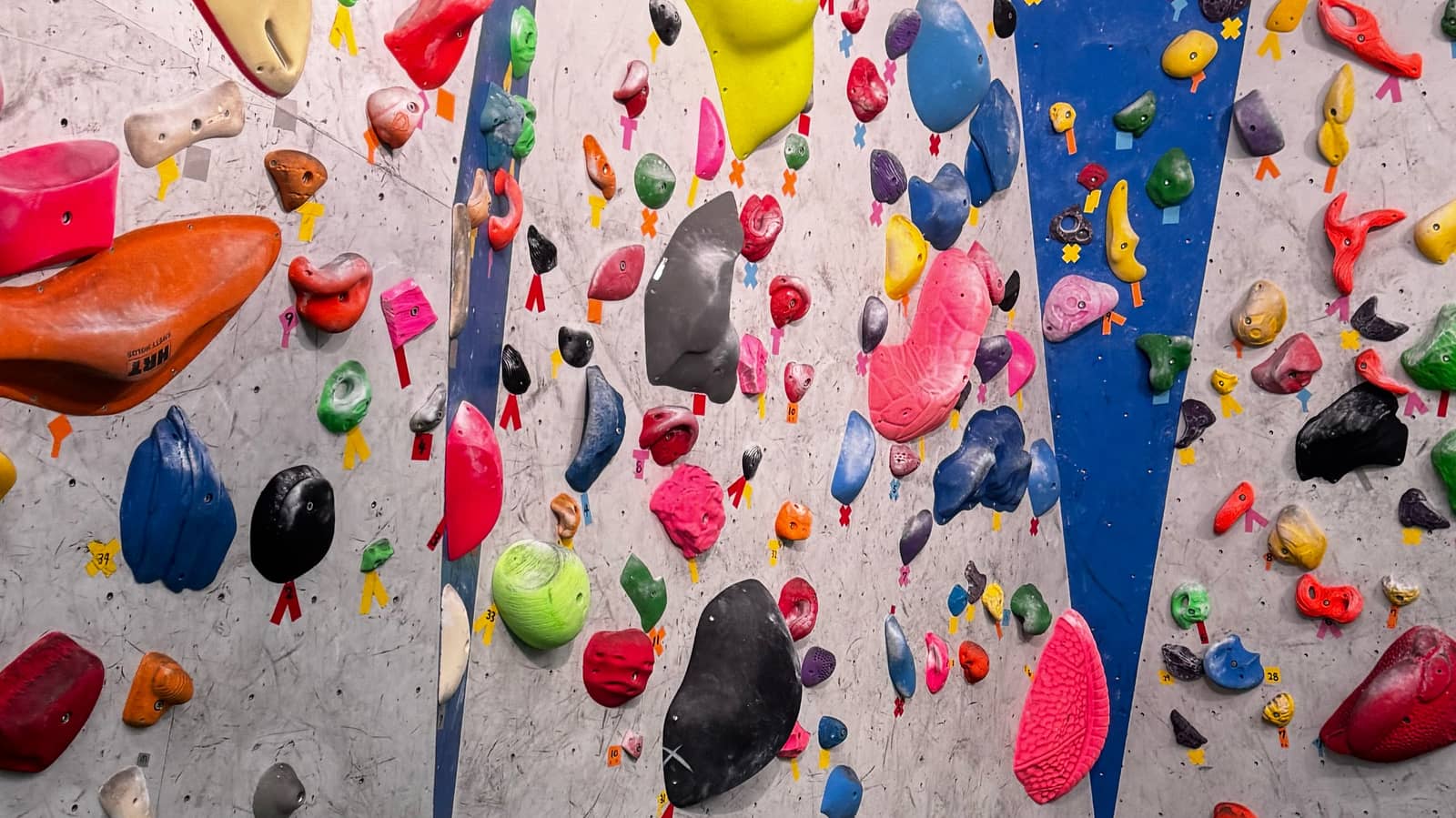 Weekly Climbing Session