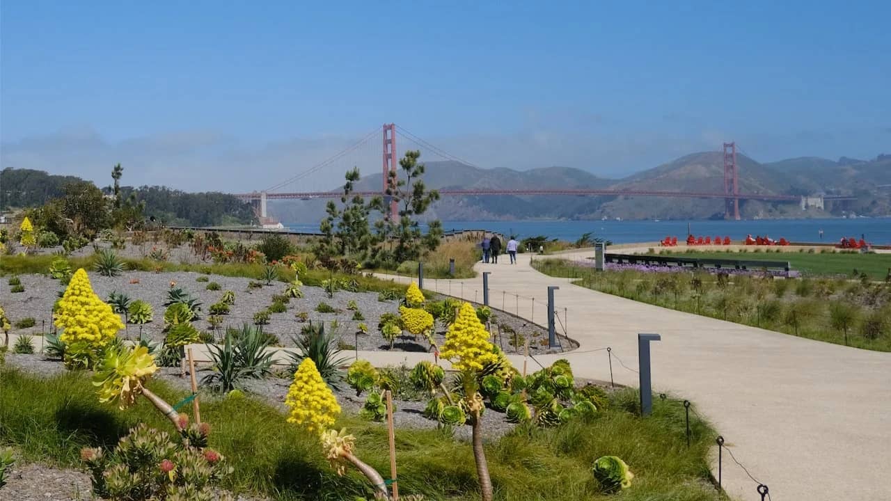 Tunnel Tops and the Wave Organ
