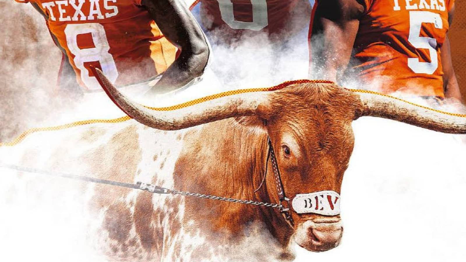 Longhorns Singles Game Watching Group