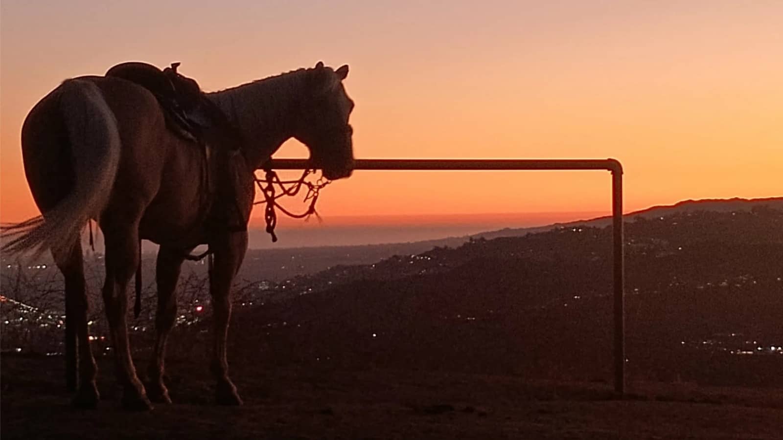 πππGolden Hour Harvest Moon at Mt Hollywood in Griffith Park π