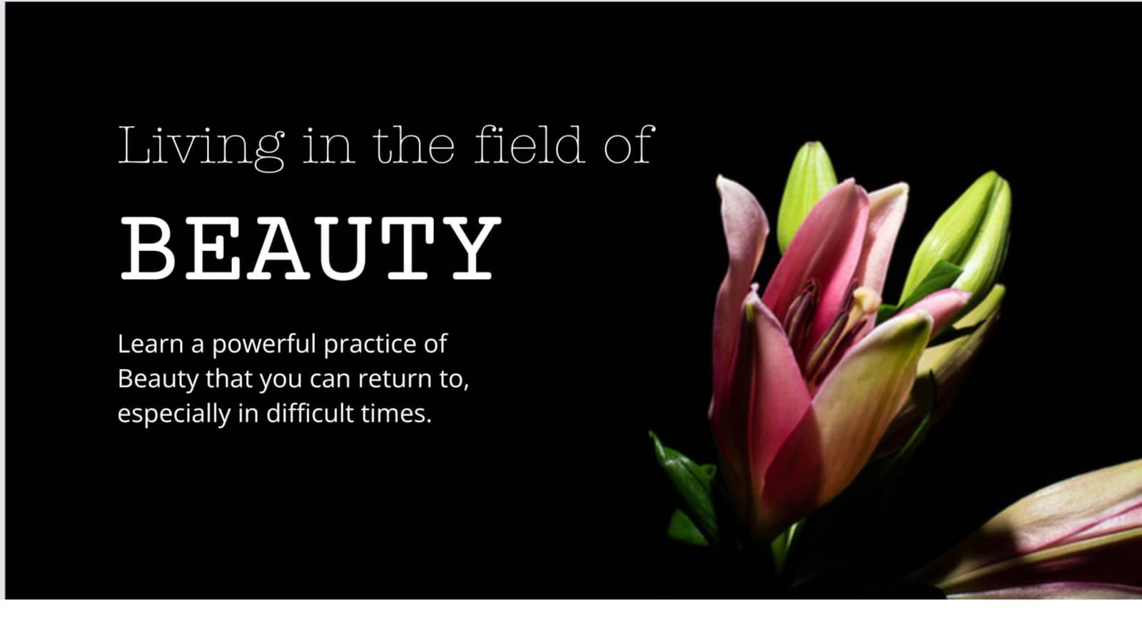 Living In The Field Of Beauty