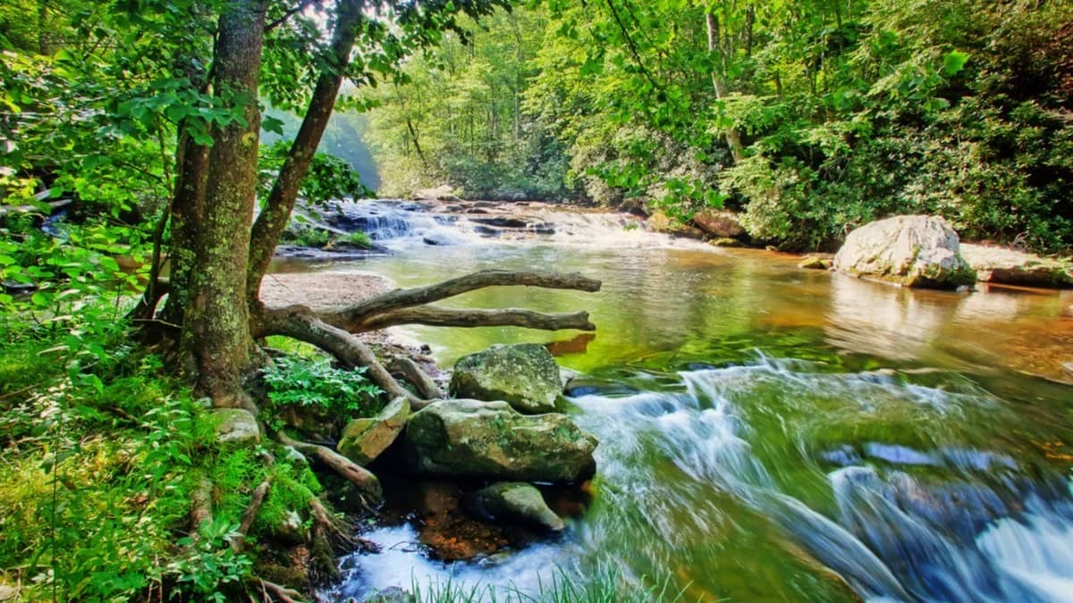 Lower Wissahickon Hike