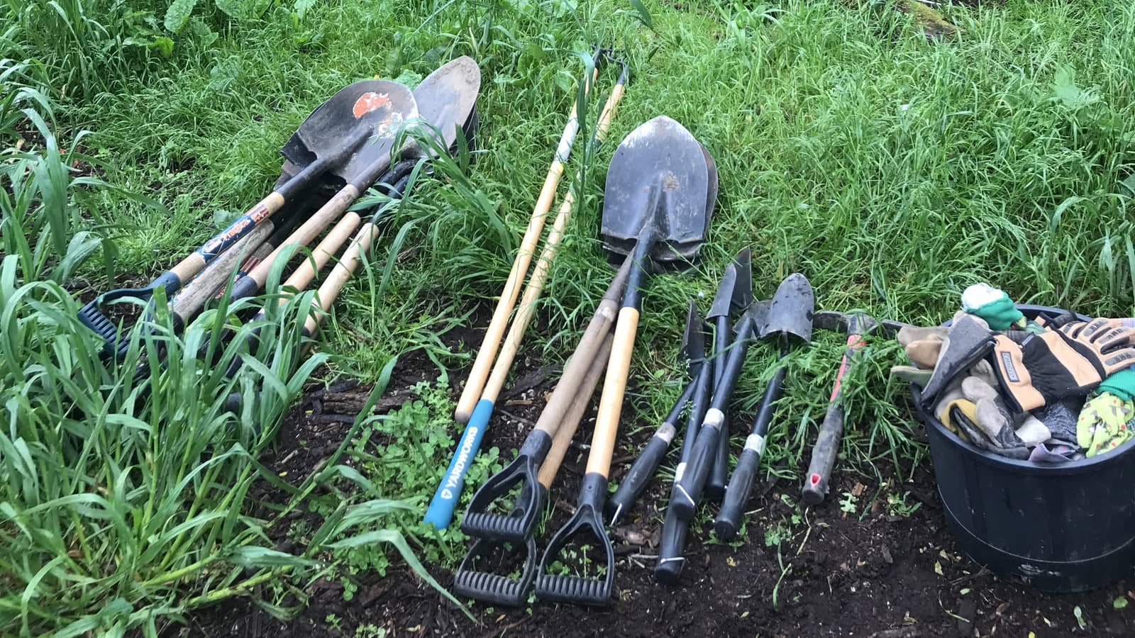 Everett Crowley Park Environmental Stewardship