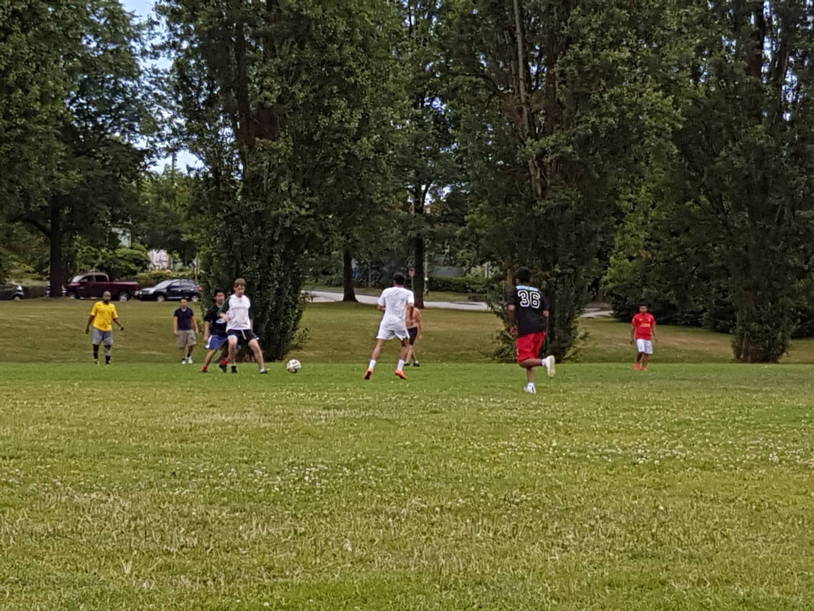 Weekly event pick up soccer at Trout Lake at 1pm