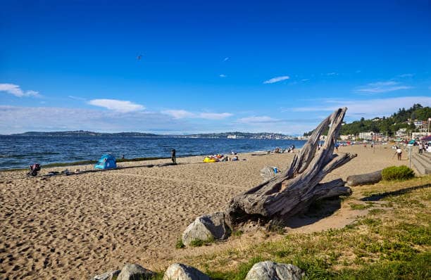 Beach Potluck & Bonfire Party 🔥 BYOB ⛱️🍹