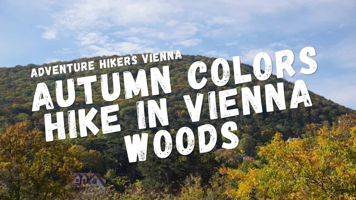 Autumn Colors Hike in Vienna Woods