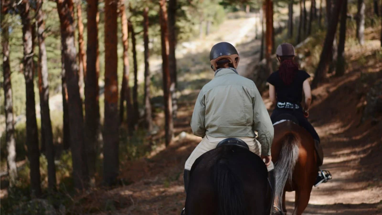 Ruta a Caballo & Vinos en la Sierra de Madrid – Varias fechas