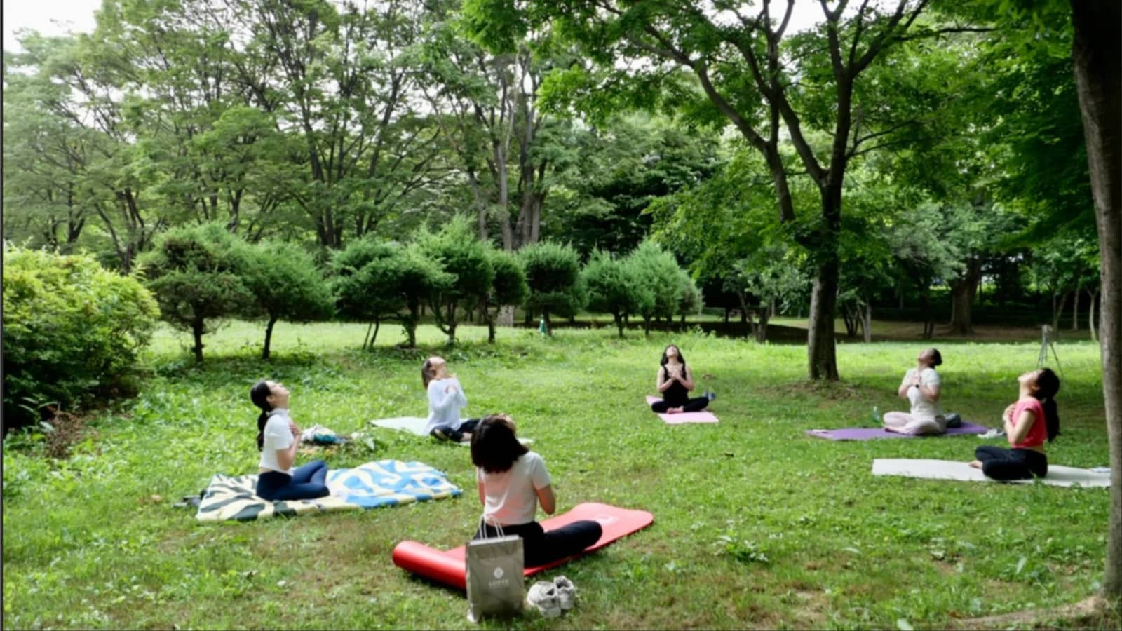 Outdoor Pilates & Picnic