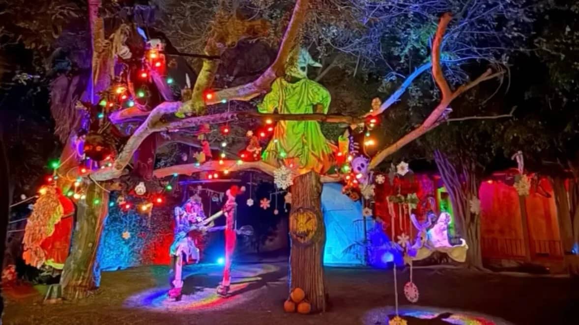 🎃 No Bones Club – Vegan Halloween Mixer & Haunted House Walk! 🌱
