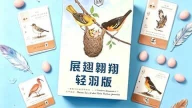 粉嶺教會board game聚會(免費,歡迎非基督徒)