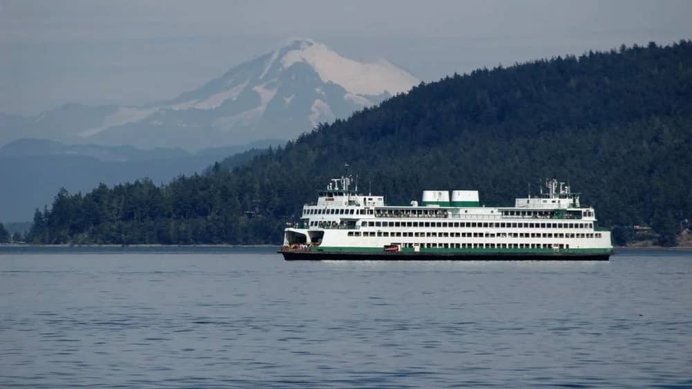 From Books to Bainbridge