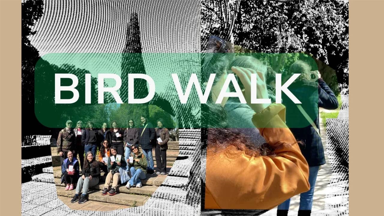 October Bird Walk: Parc de la Creueta del Coll