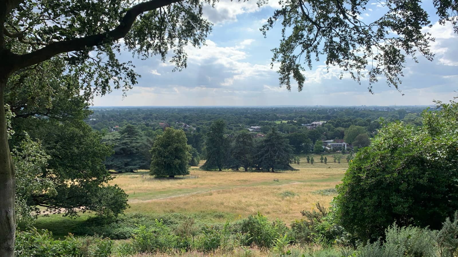 London Society FREE WALK - Richmond Park