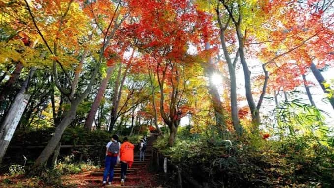 🍁🏞️Autumn Hanno Mountains Hike🌳⛩️