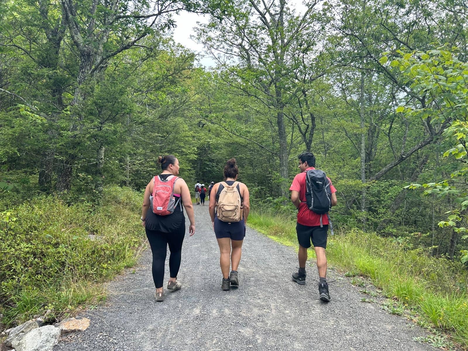 August Hike ☀️