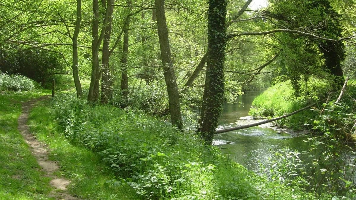 Midhurst, Woolbeding and River Rother stunning countryside walk