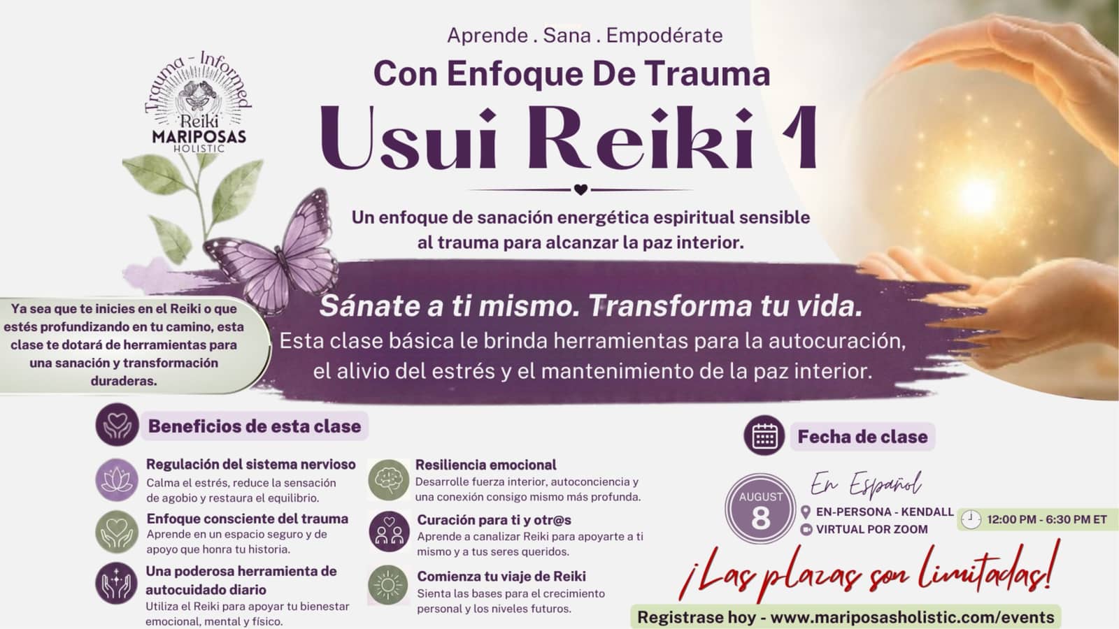 Con Enfoque De Trauma Usui Reiki Level 1