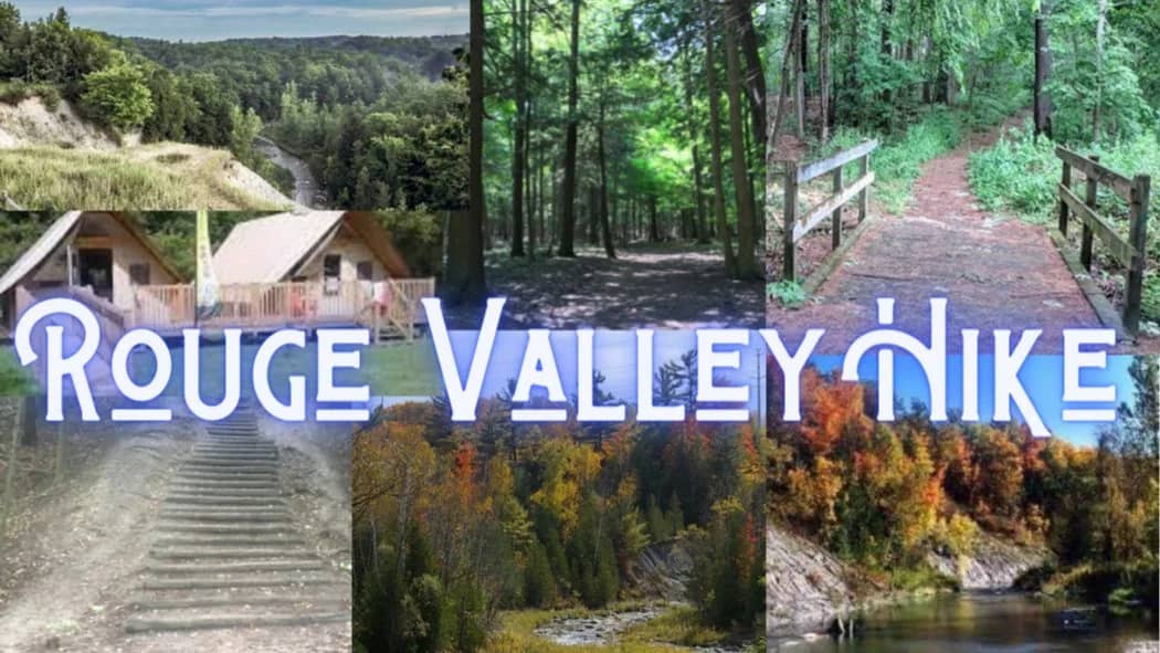 🍂 Fall Walk: Rouge National Urban Park and Picnic🌳