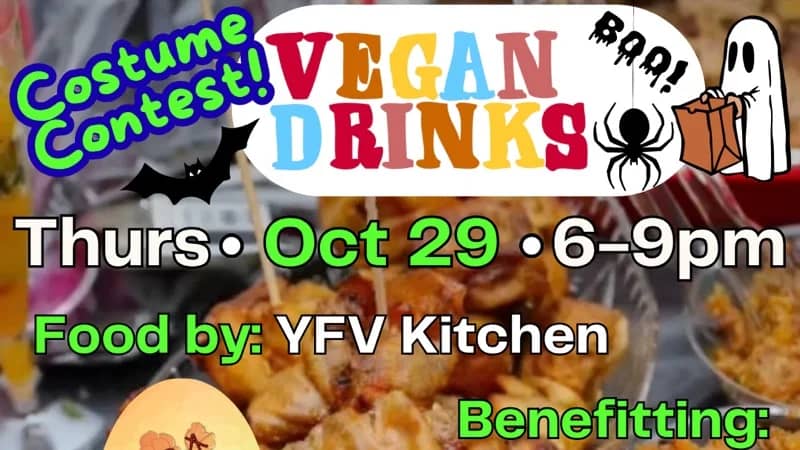 Vegan Drinks!
