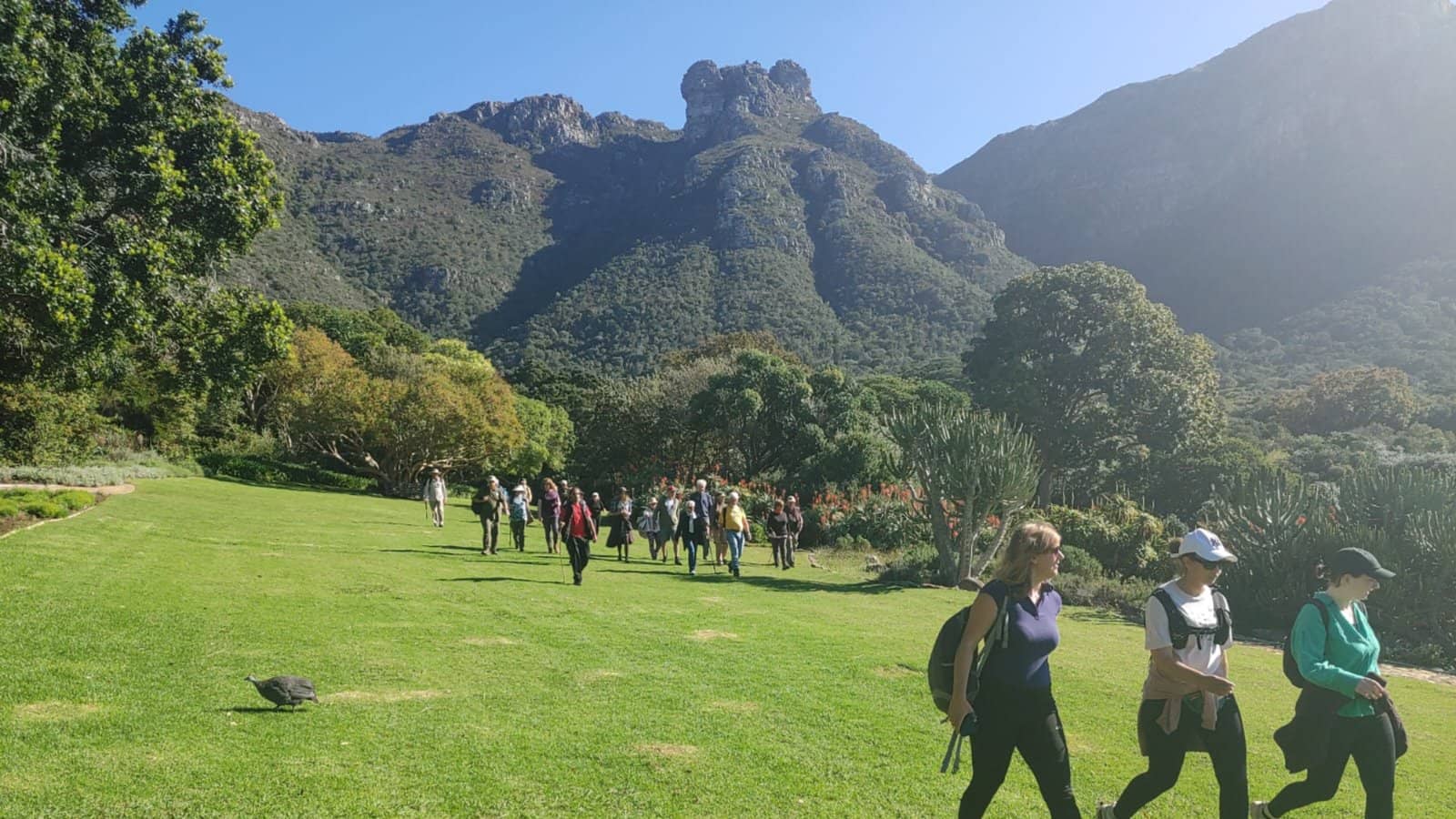 Kirstenbosch Gardens