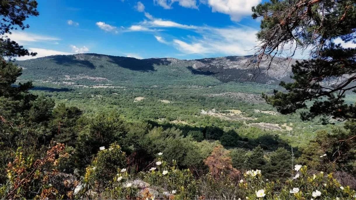 Valle Hermoso, Bustarviejo, Robledal, Pinar. Niv Bas Dom 27