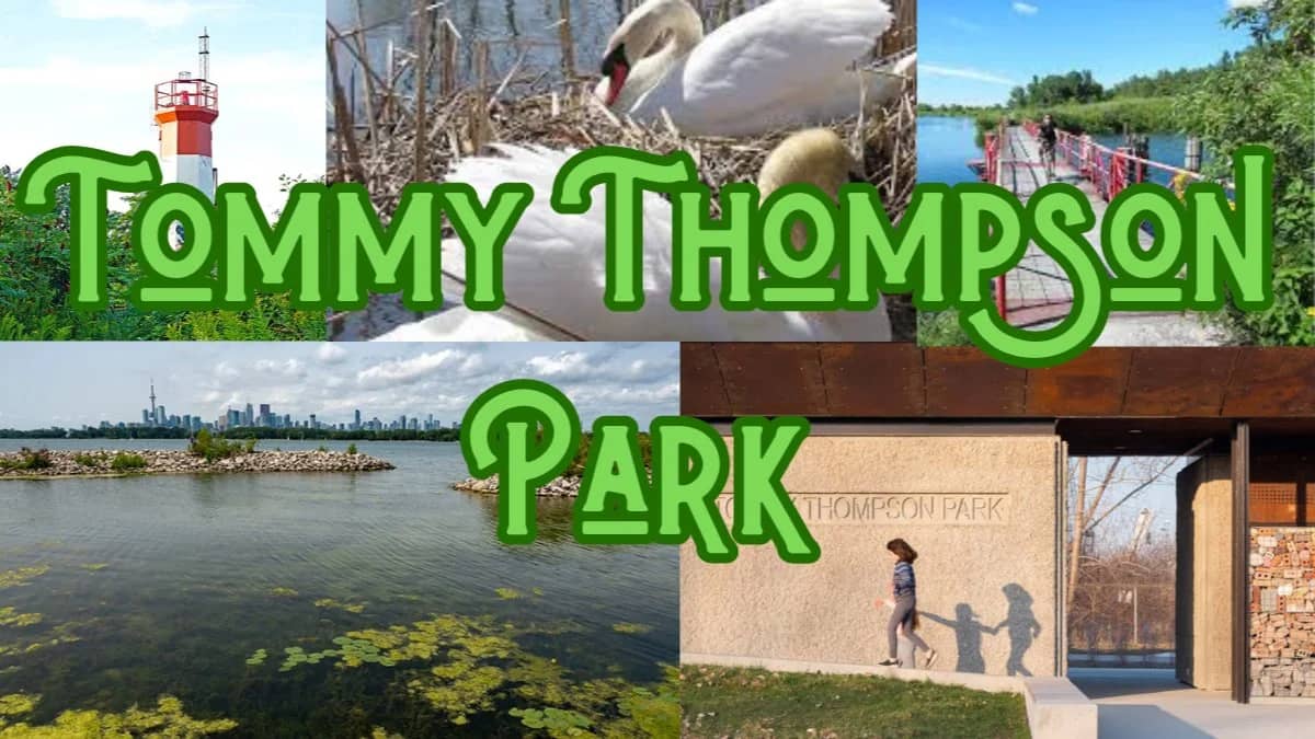 πΏ FALL WALK - Walk: Tommy Thompson Park (Come See The Skyline) π¦ - 12KM
