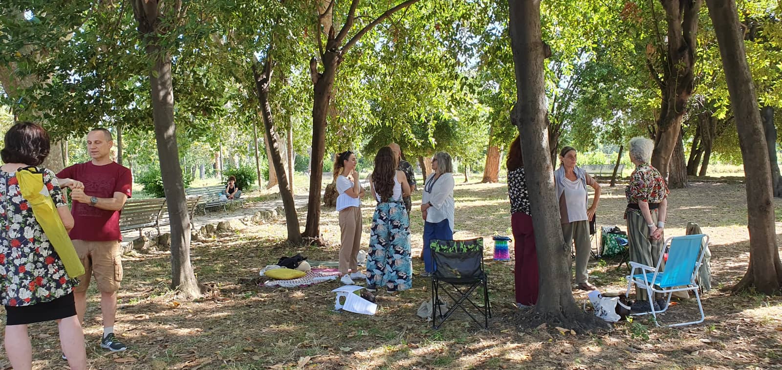 Meditation in the Park