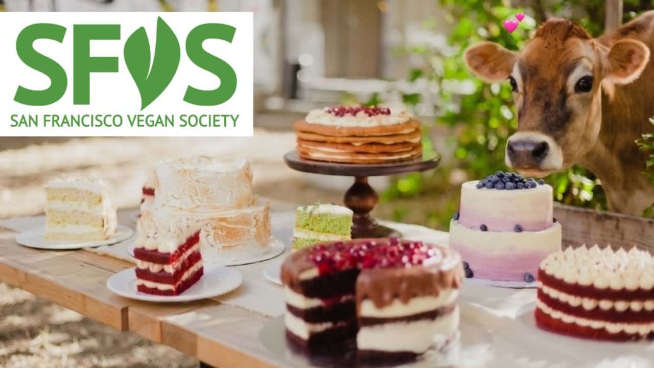 Cake Swap Extra-VEGAN-za!