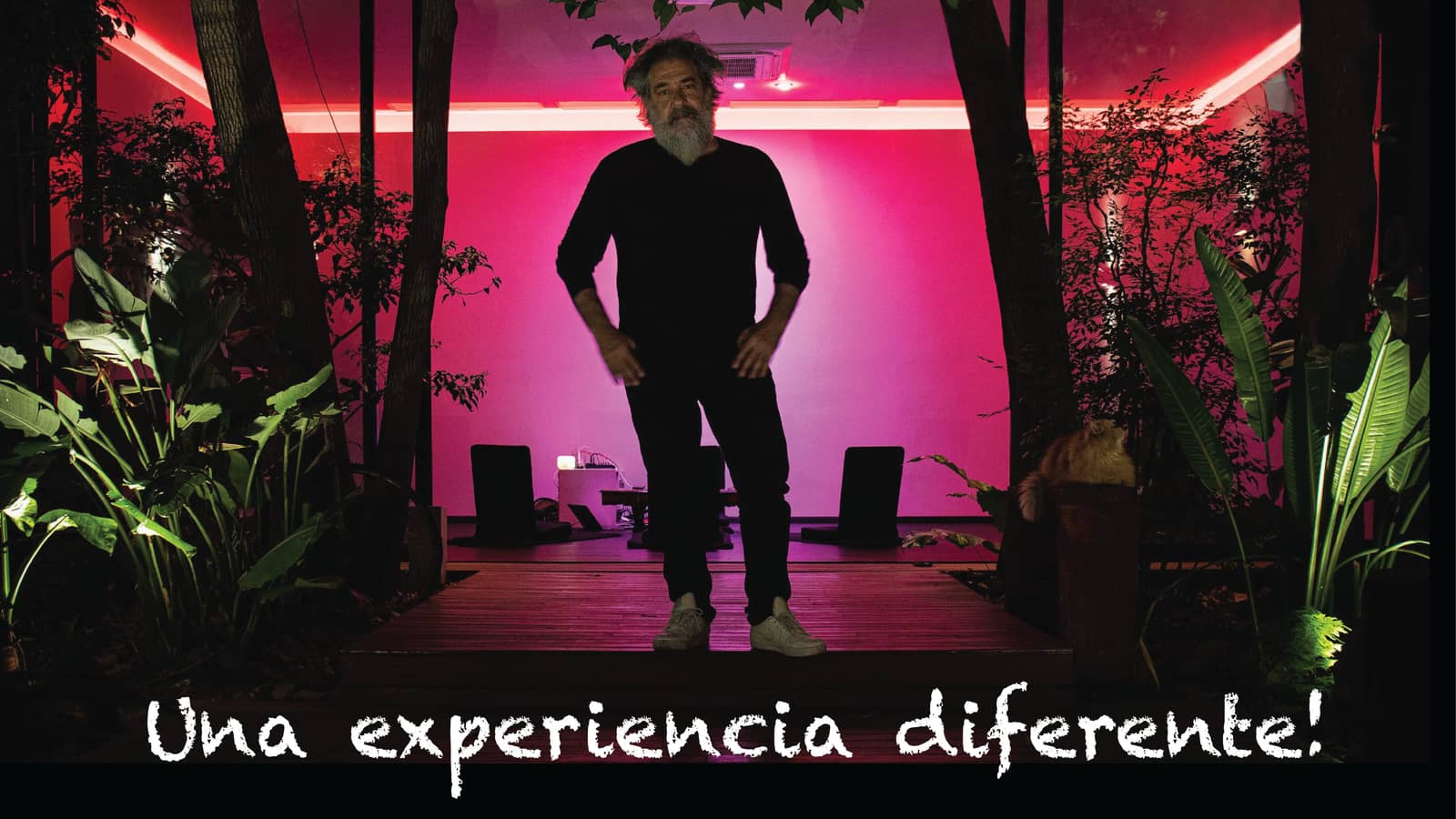 IN-PERSON MEDITATION IN SAN TELMO Dr. Daniel Forster- Doctor