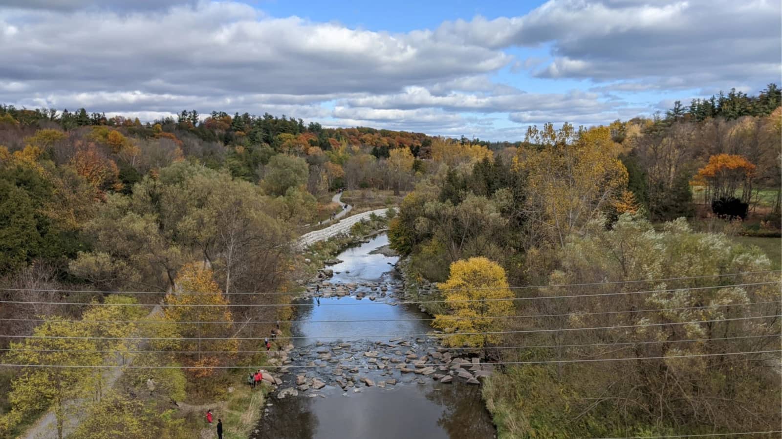 Morningside salmon run (11 km)