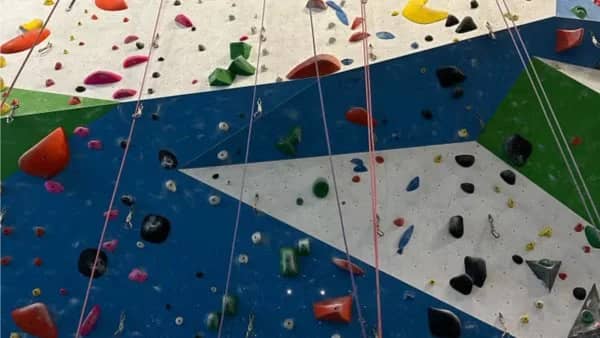 (Special!) Toronto Vegan Climbing and Potluck Picnic - Basecamp Bloor