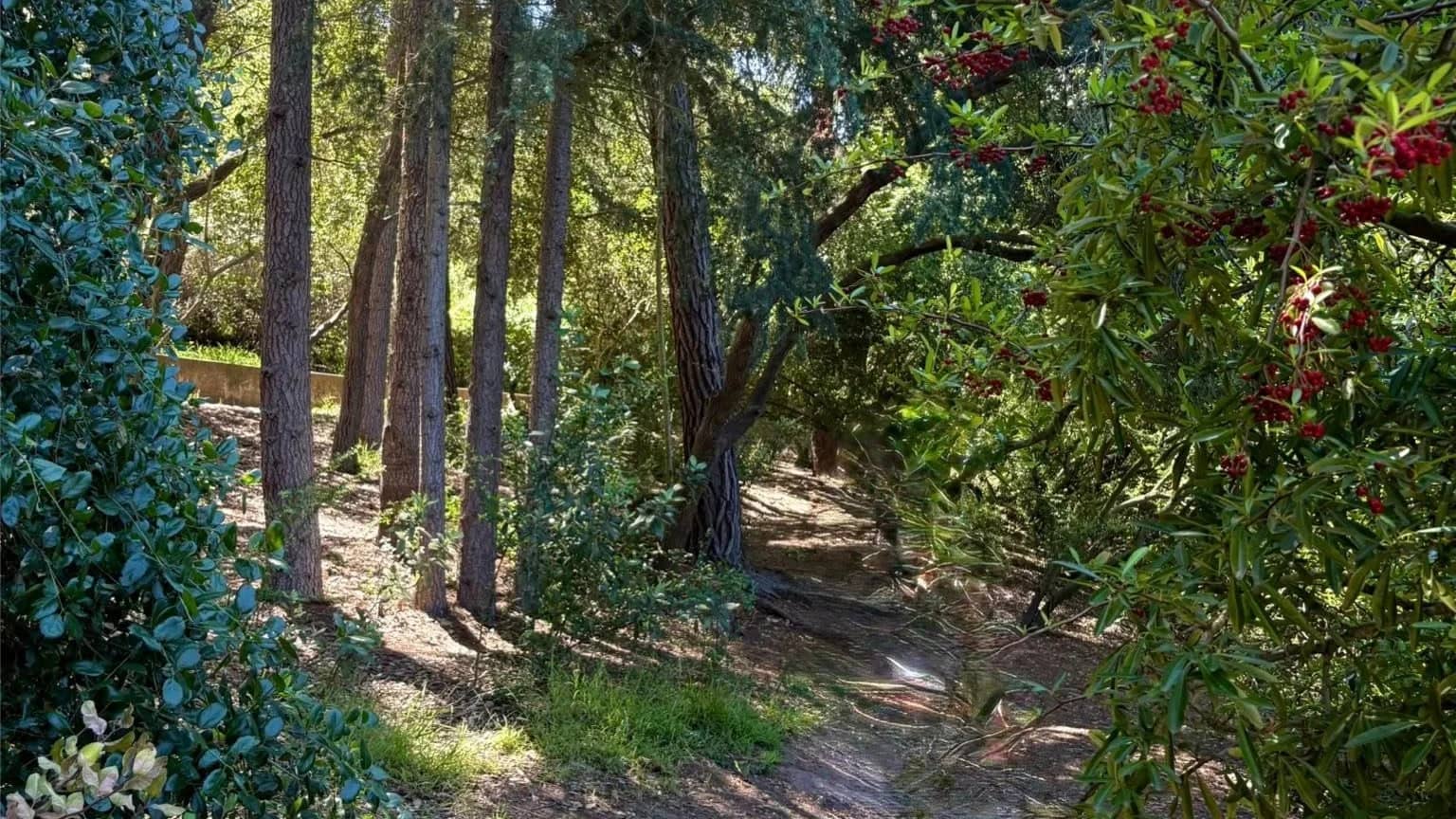 🦋🐞🌲🪻SUNDAY FUNDAY!! Franklin Canyon 🪿🦆🦉Sharky's 🦈 for food 🌮 🌯