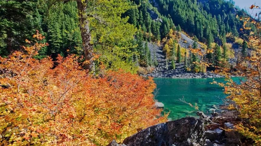 Lindeman Lake Hiking