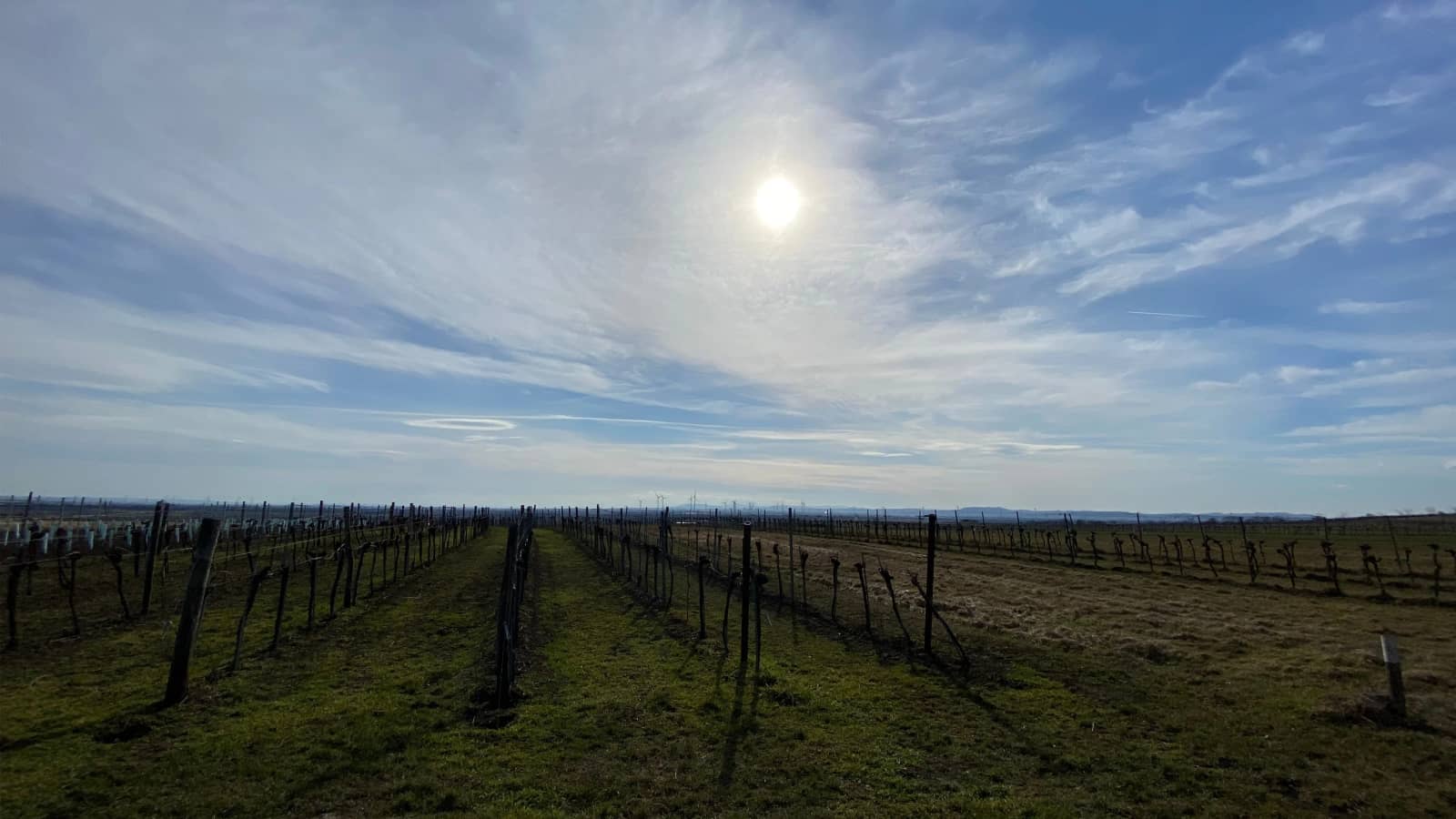Gravel Bike Ride in the Nearby Weinviertel