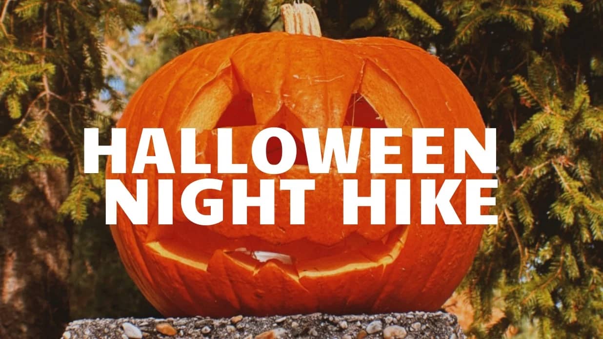 Halloween Night Hike & Party – The Live Club × Vienna Weekend Crew