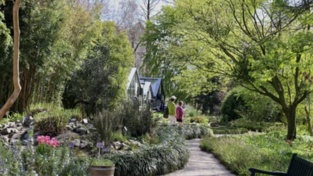 πΆπΏ Summer Evening with Live Music β Hortus Botanicus Amsterdam πΏπΆ