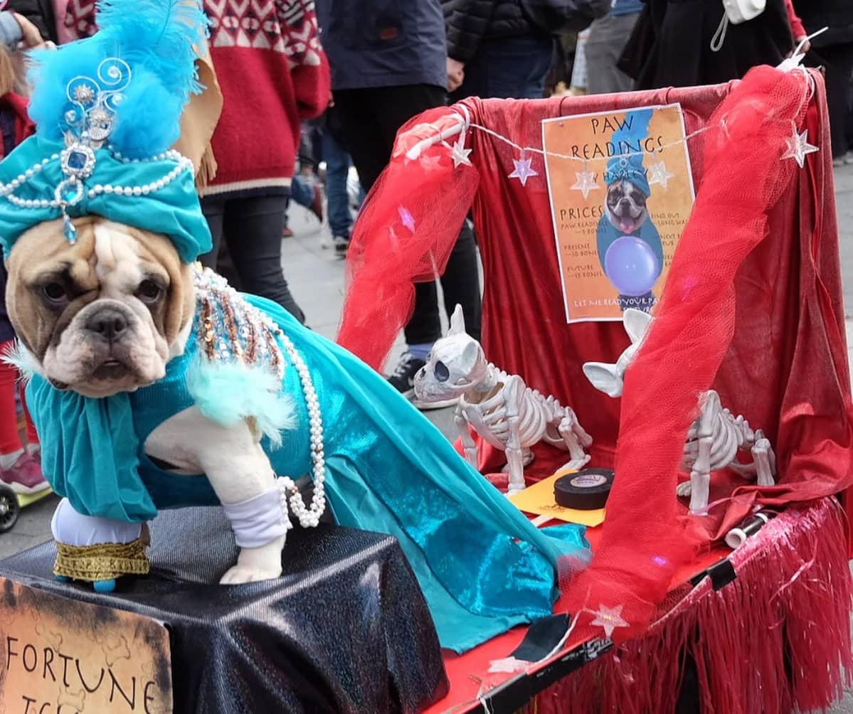 Halloween Dog Parade @ WashSq Park