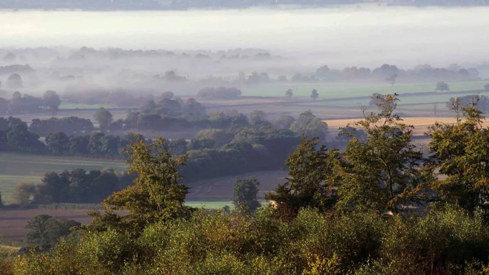 Staffhurst Wood & the High Chart - (14 miles)