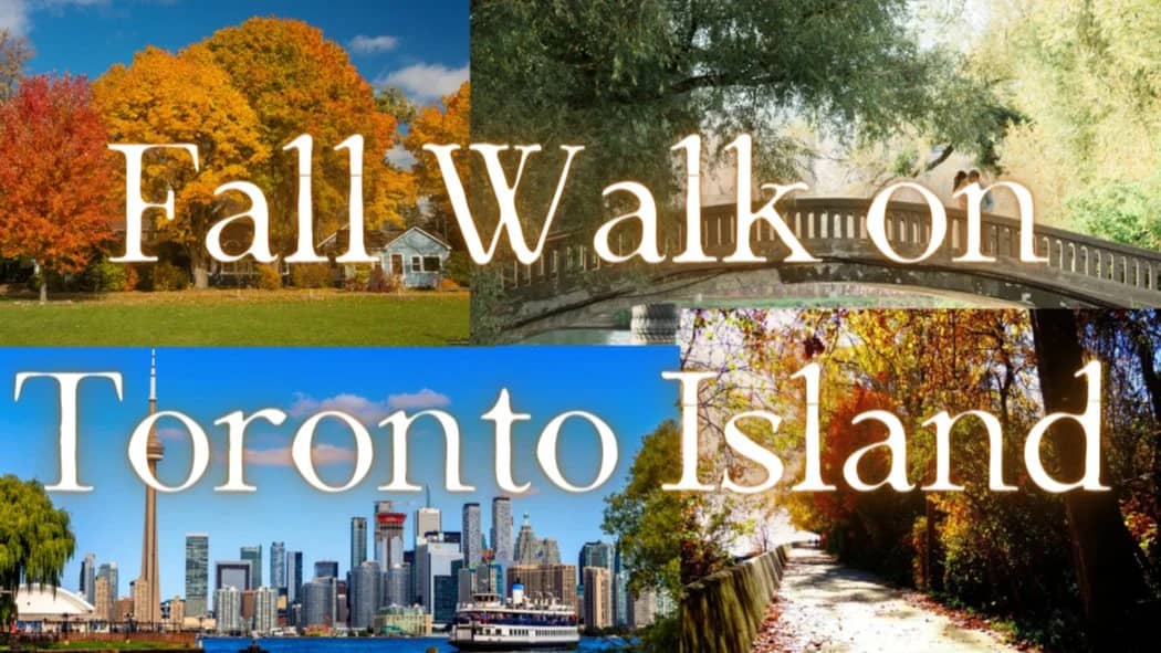 π Fall Walk of Toronto Island ππ! 9KM